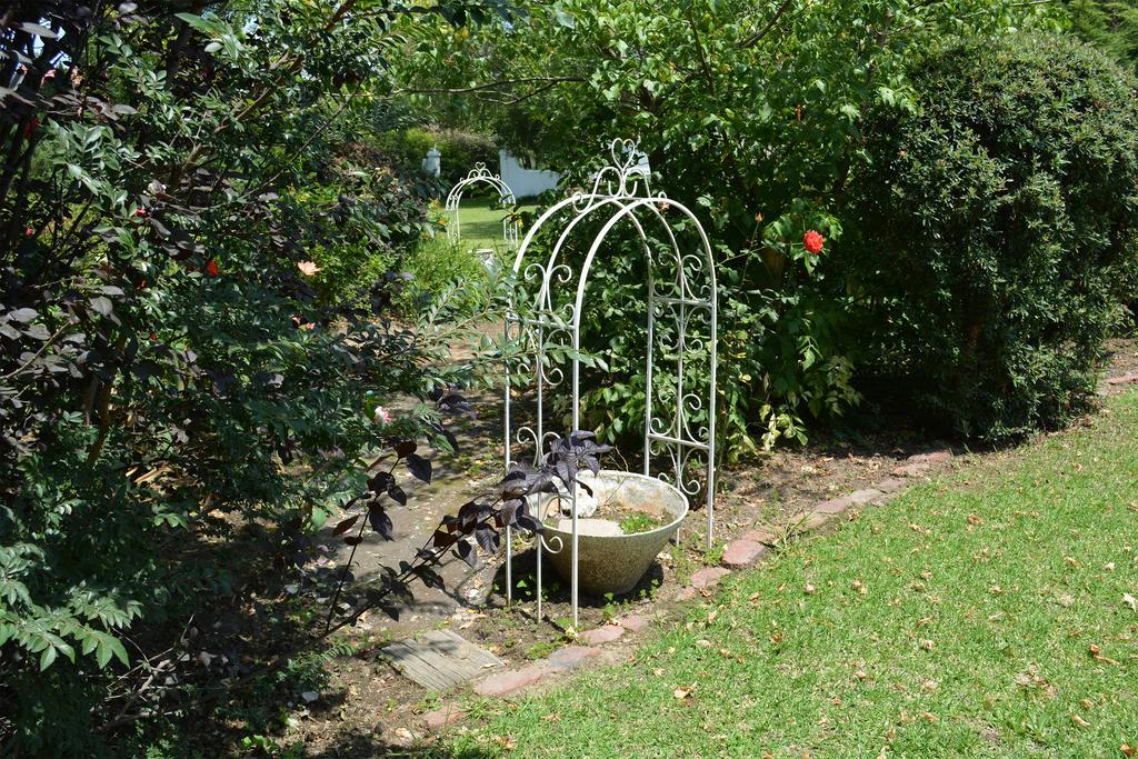 Toad Hall Guest House Wakkerstroom Extérieur photo